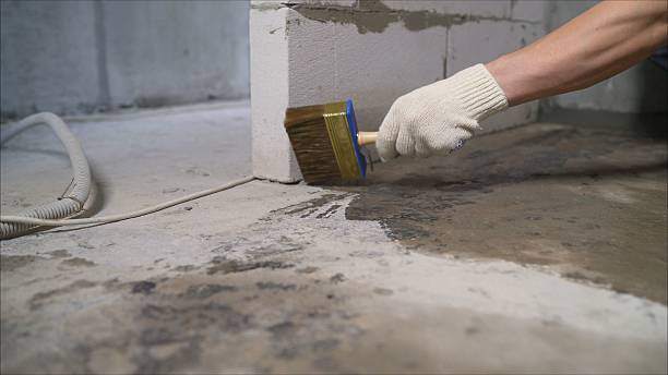 24/7 Emergency Wet Basement Repair experts in Cloverdale, OH